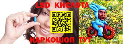 мет Кингисепп
