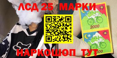 мет Кингисепп
