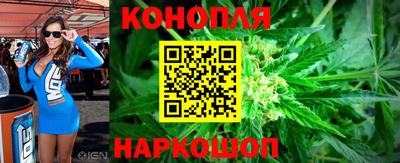 мет Кингисепп
