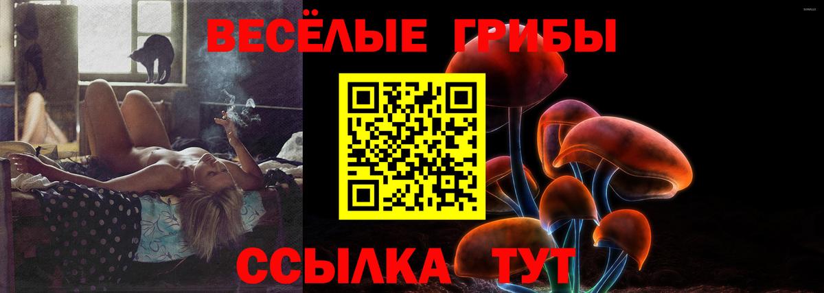 Дубна  Галлюциногенные грибы Psilocybine cubensis  Вход с VPN 